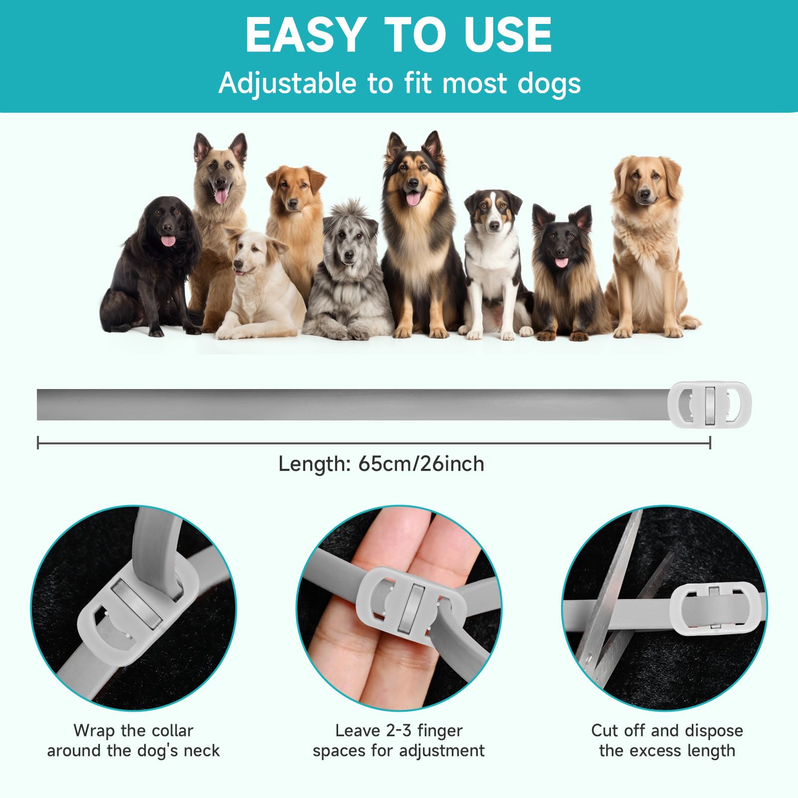 KYGNE collar in wet conditions during outdoor dog walk.