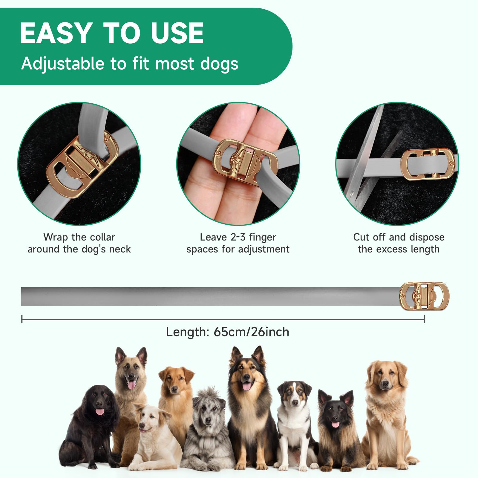 KYGNE easy-to-use collar for daily protection.