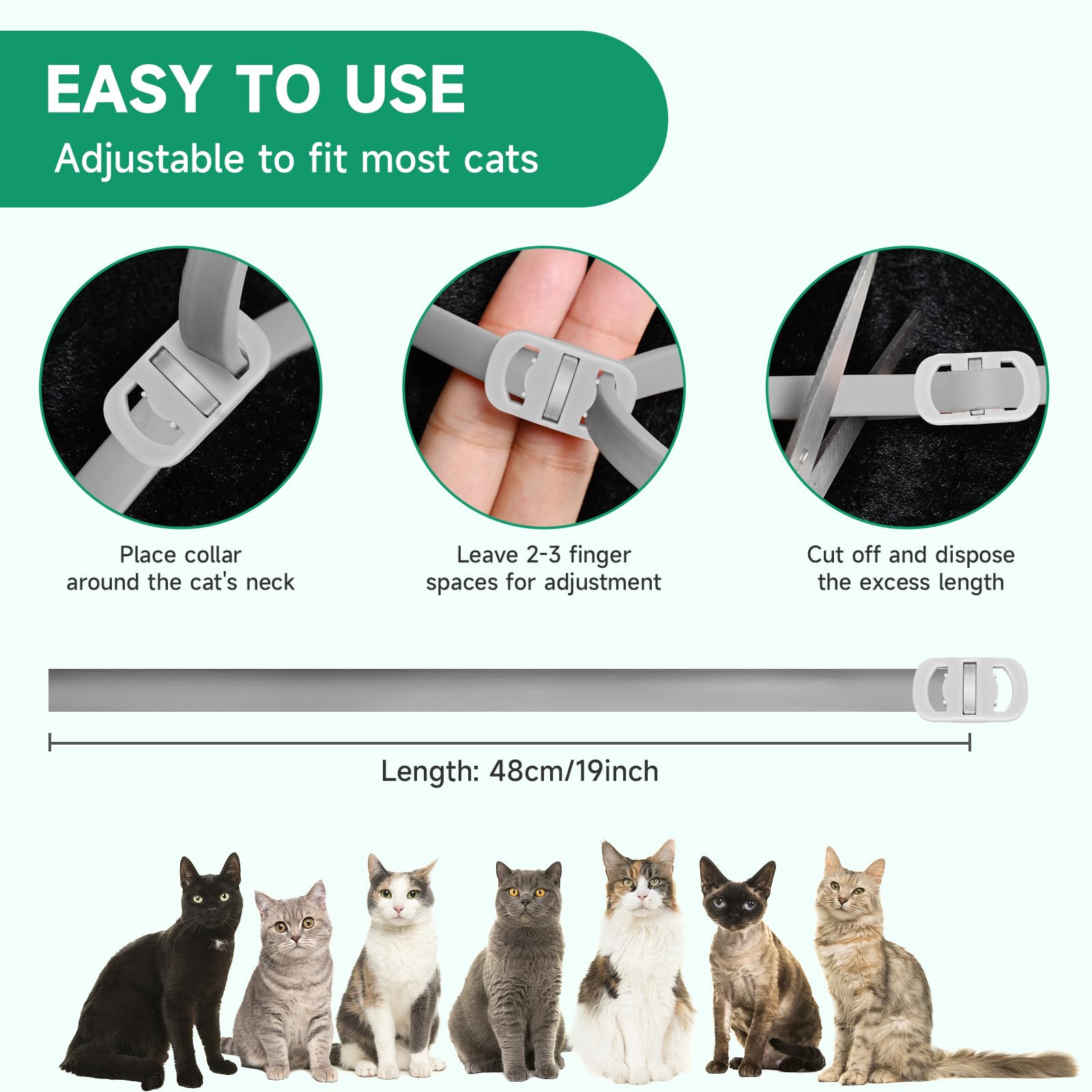 KYGNE grey cat collar for daily wear and adventures.