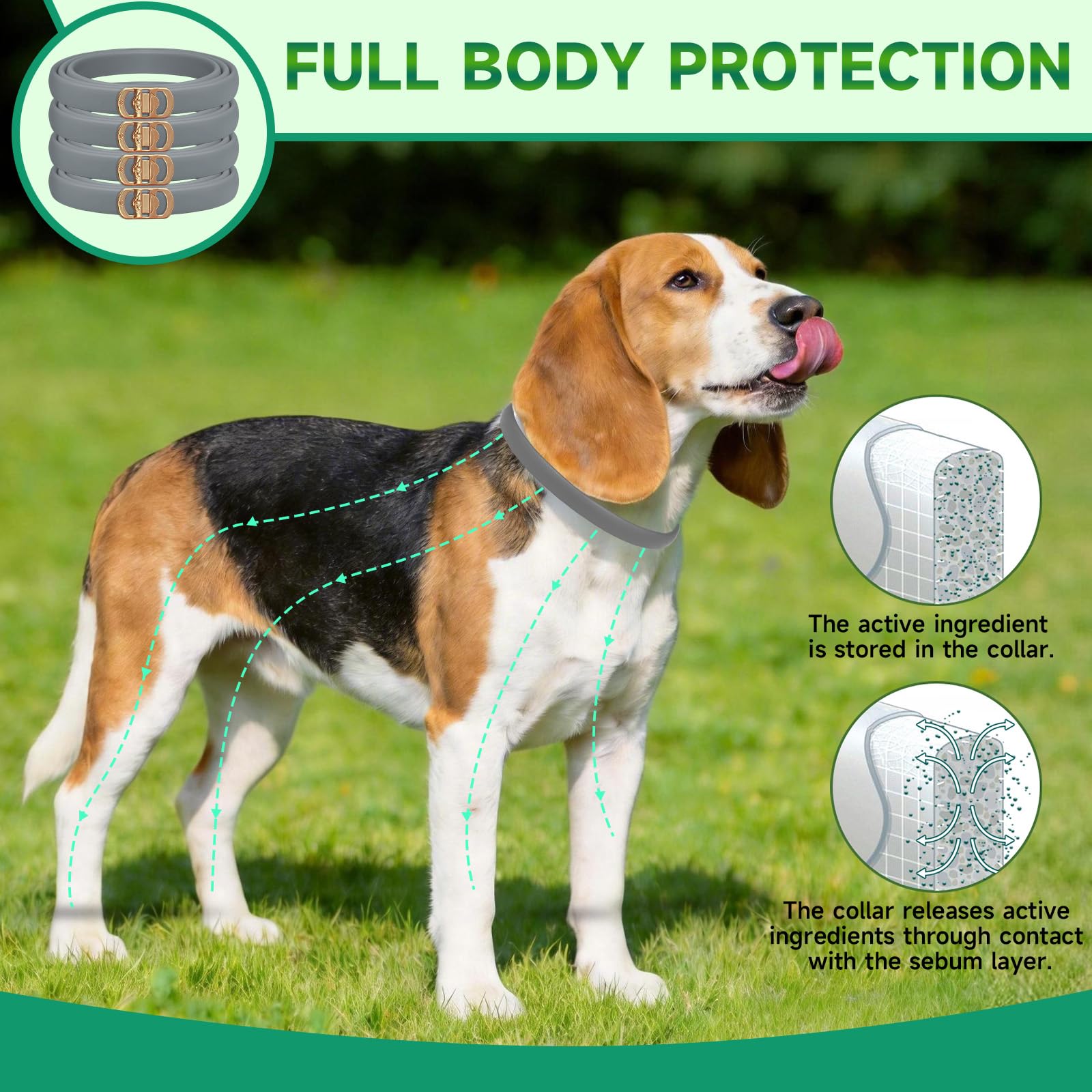 KYGNE one-size-fits-all collar grows with your dog's neck.