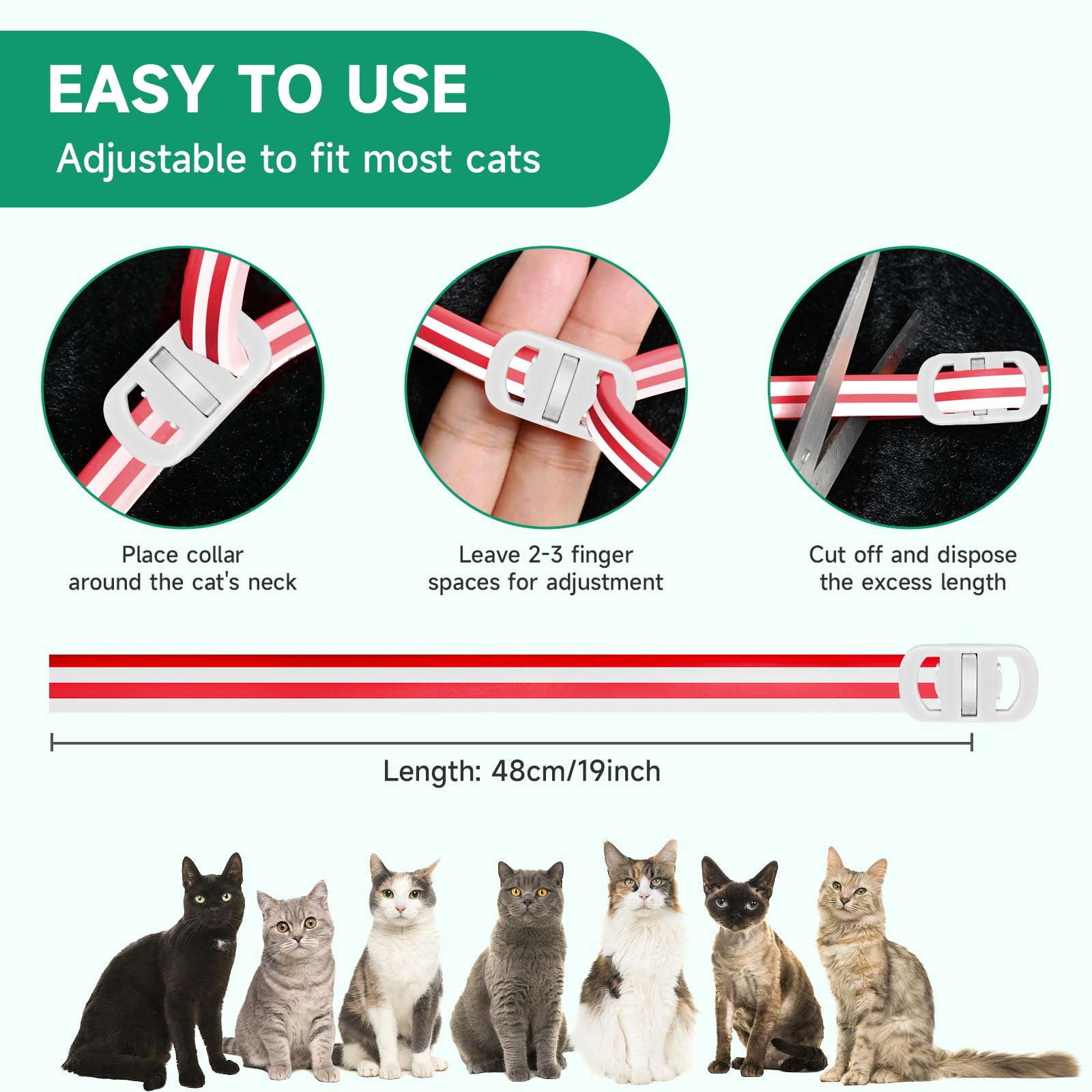 KYGNE cat wearing collar with rounded edges for safe comfort.