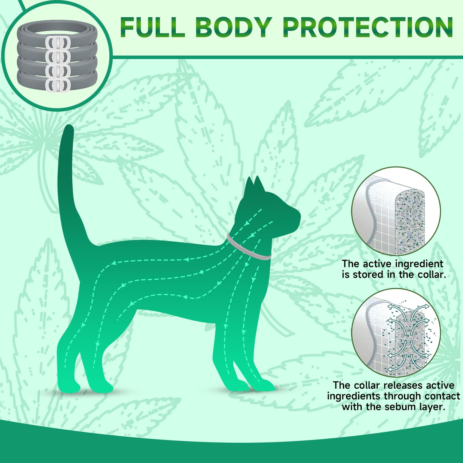 KYGNE soft material collar minimizes skin irritation.