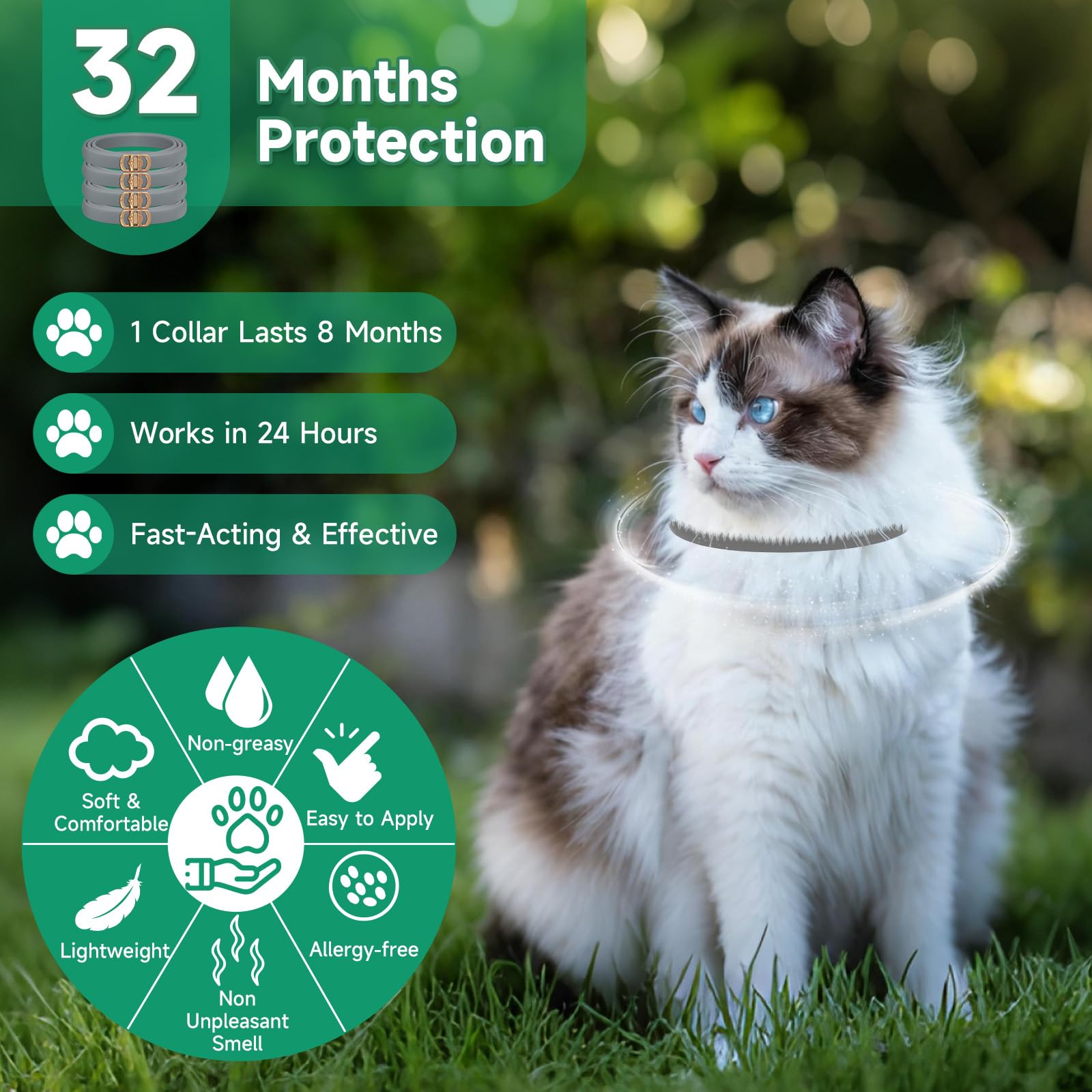 KYGNE waterproof cat flea collar worn during light rain.