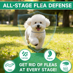 KYGNE waterproof flea collar stays effective through rain and swims.