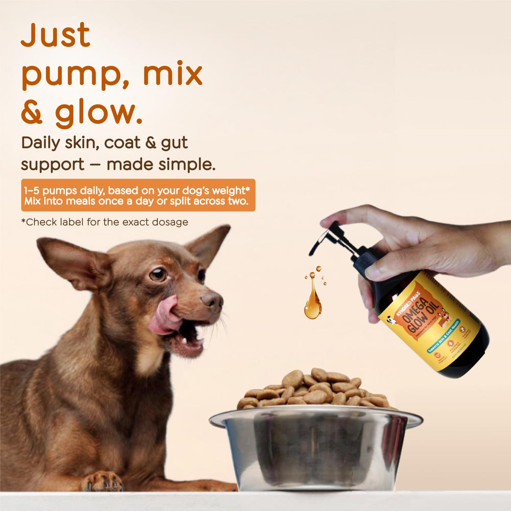 Eco-friendly packaging reflects sustainable innovation behind Glow Oil.