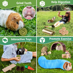 Kyouki 24+ cage accessories expand play options for small pets.