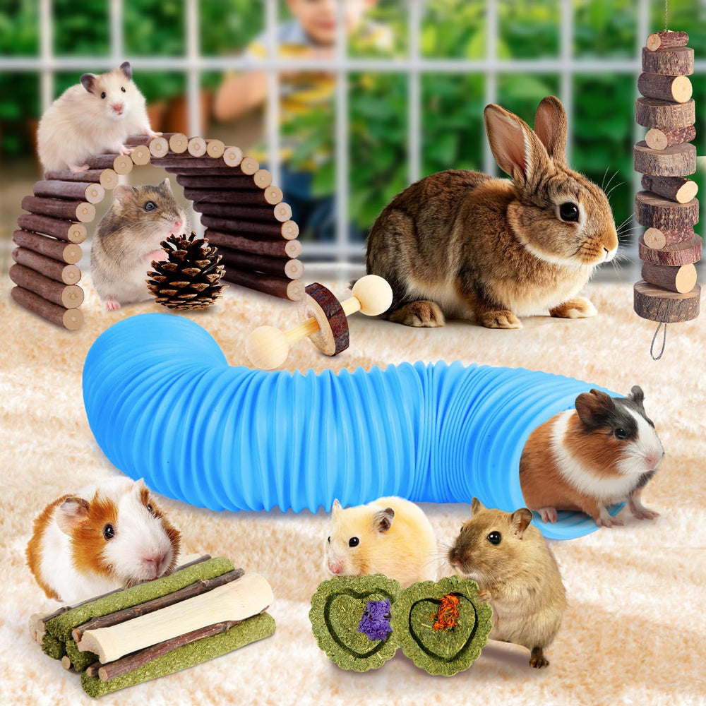 Kyouki apple wood chews encourage natural chewing and dental-friendly fun.