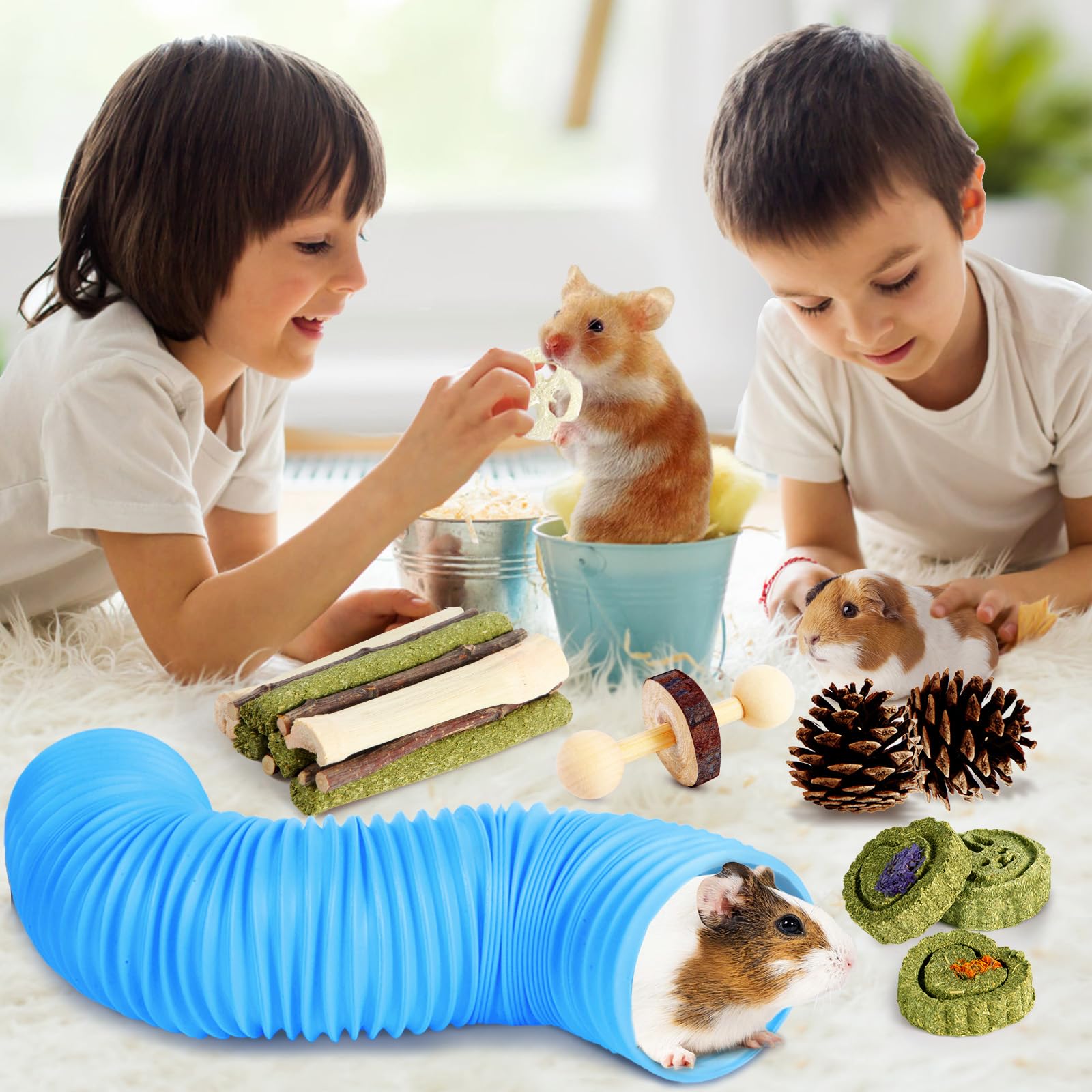 Kyouki dental surfaces promote healthy chewing and tooth wear.