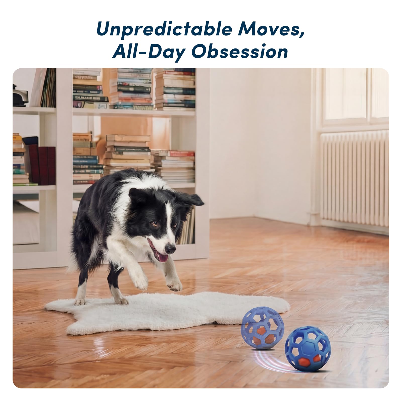 Kytujoy inner smart ball hops to create dynamic exercise and curiosity.