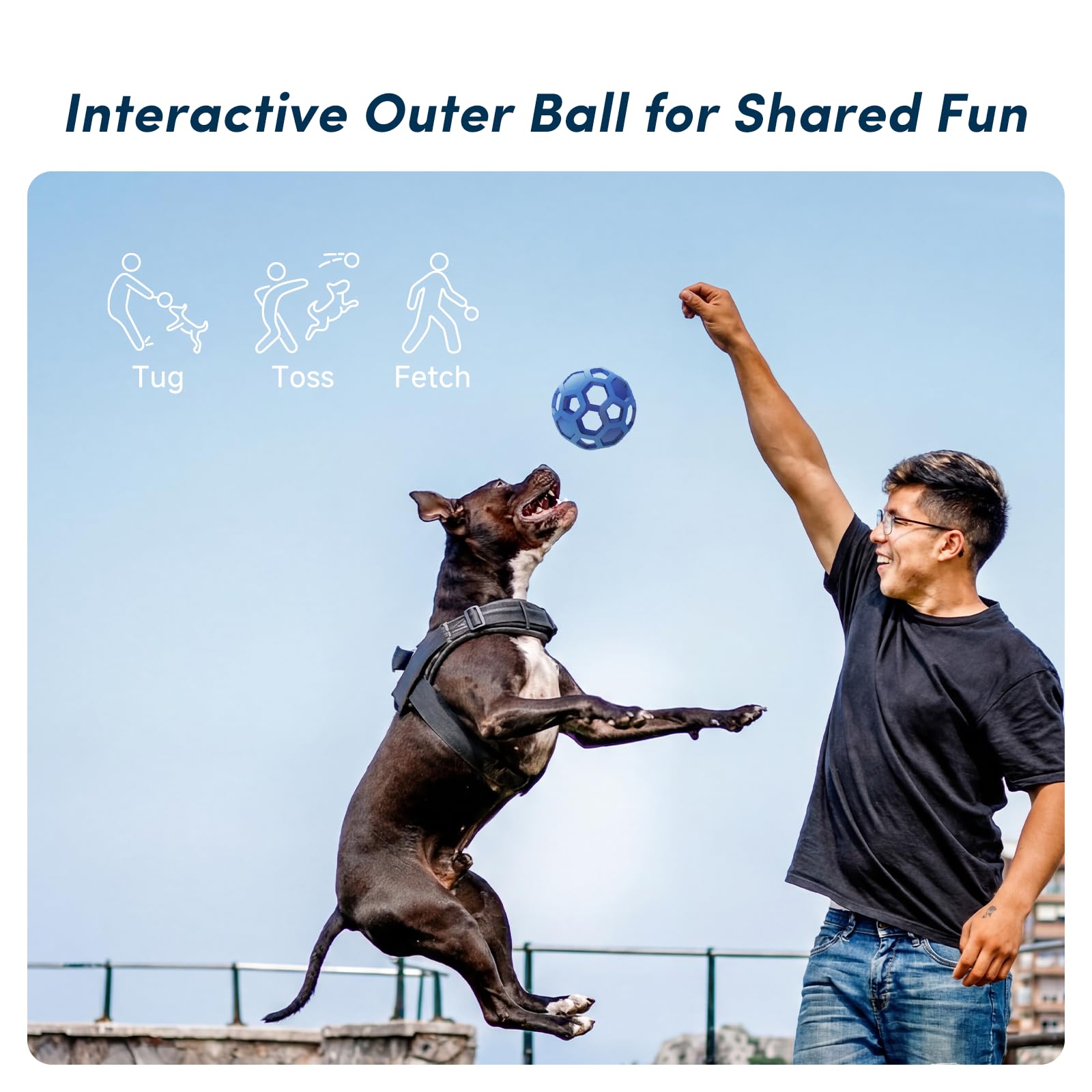 Kytujoy interactive fetch-toss action supports bonding and high-energy exercise.
