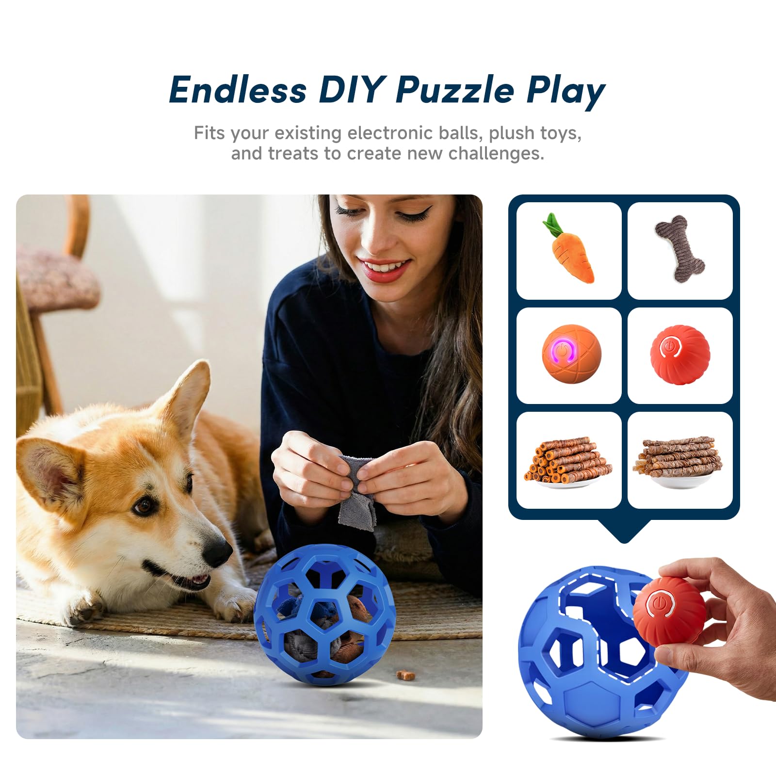Kytujoy motion-feedback rewards active dogs with varied movement patterns.