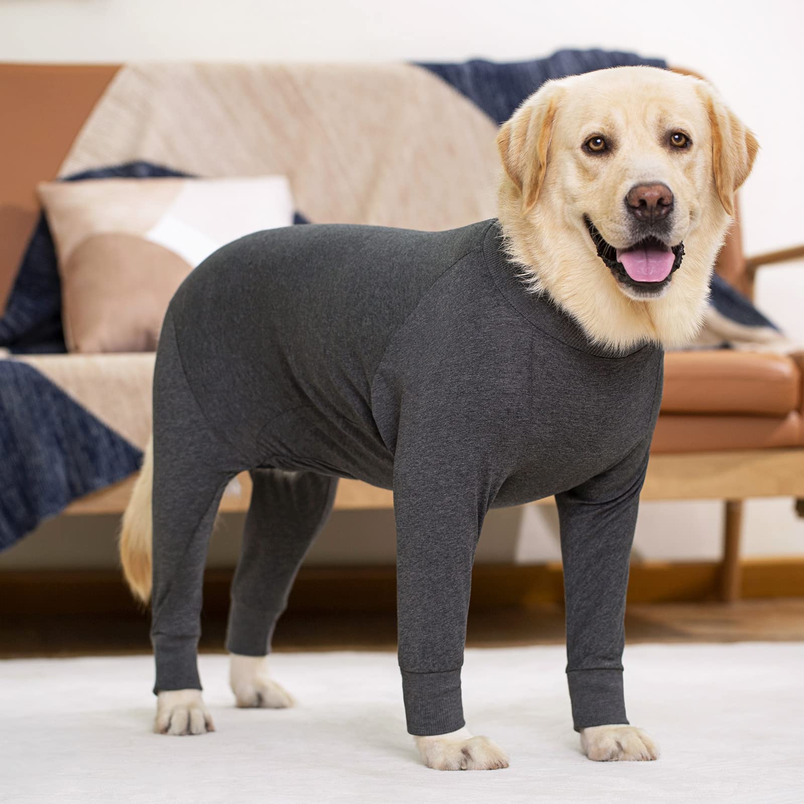 kzrfojy dog recovery suit cone-alternative design for licking prevention