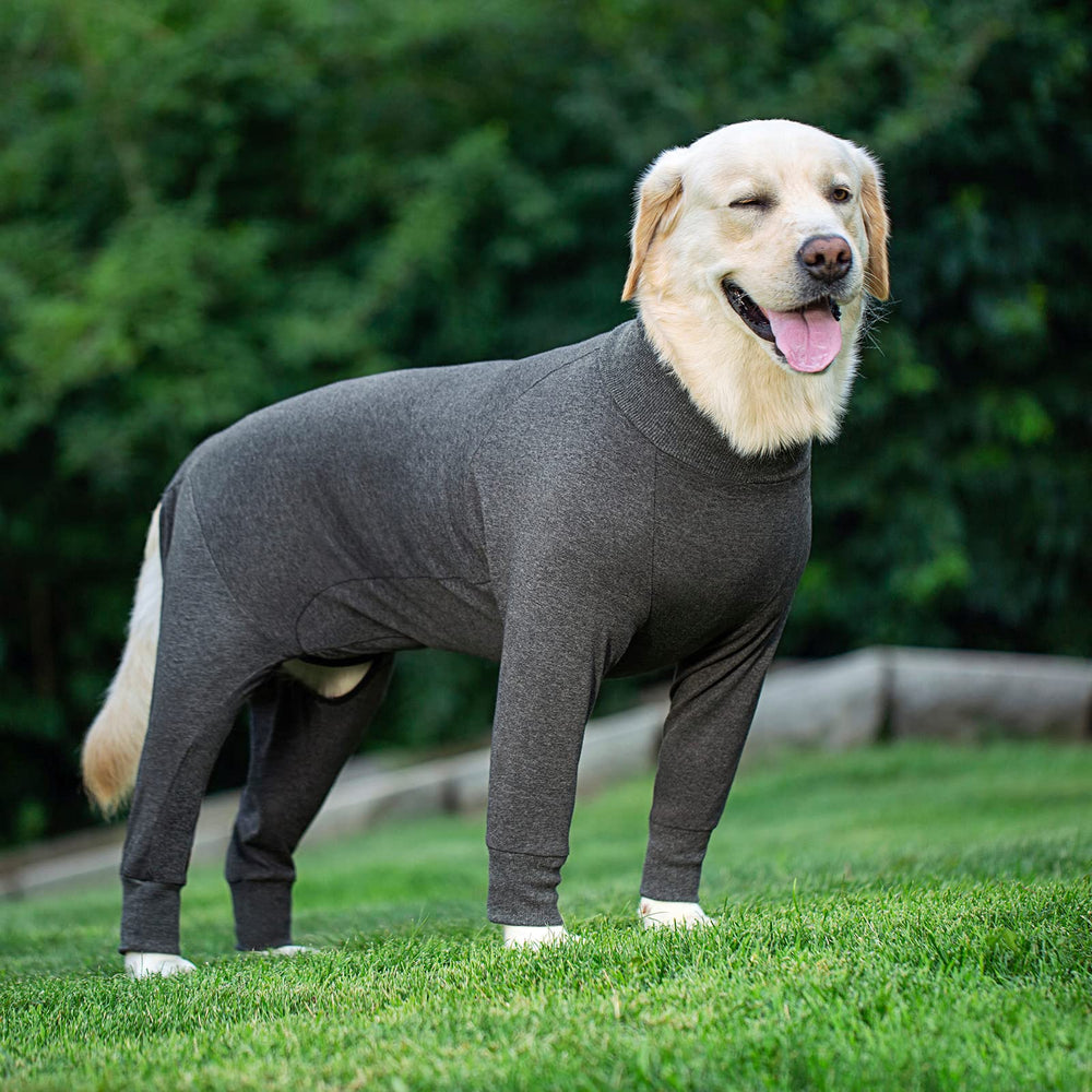 kzrfojy Dog Recovery Suit shedding-proof design keeps home cleaner