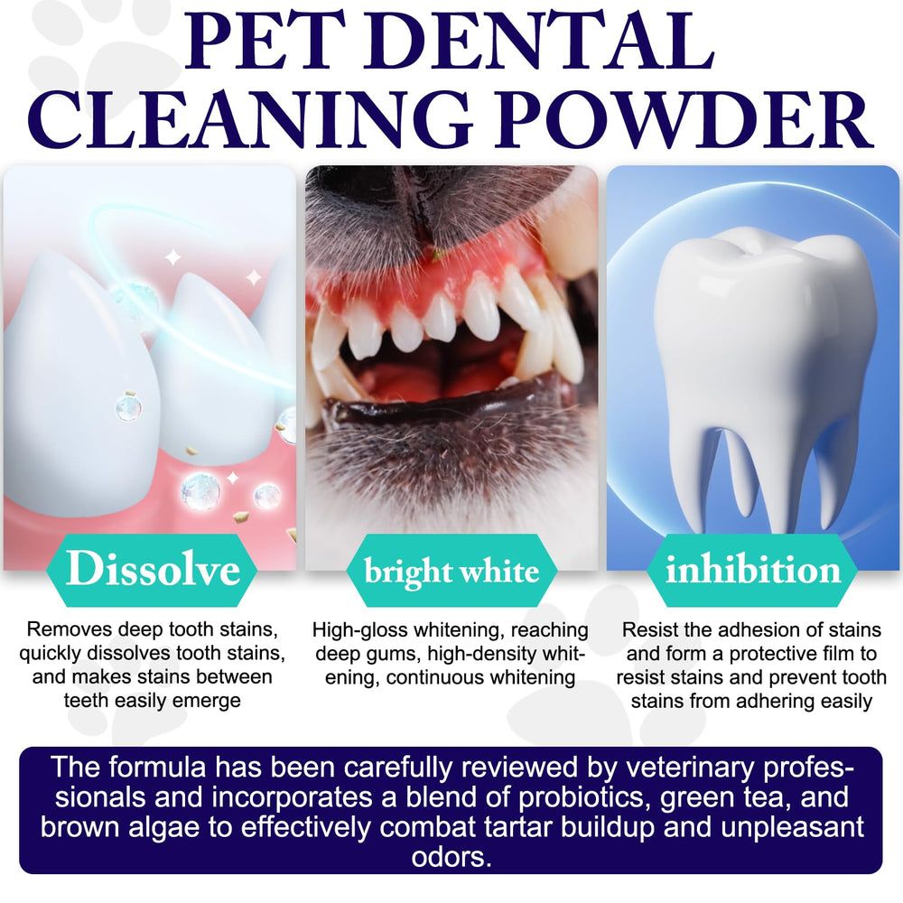 KZUO Dog Dental Powder measuring scoop demonstrates simple daily dosing.