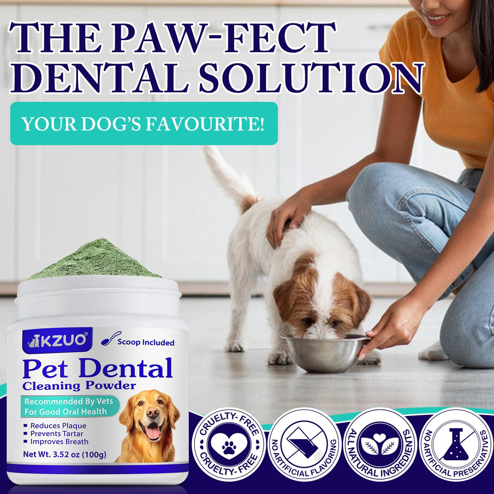 KZUO Dog Dental Powder teeth detail suggesting healthier-looking gums.