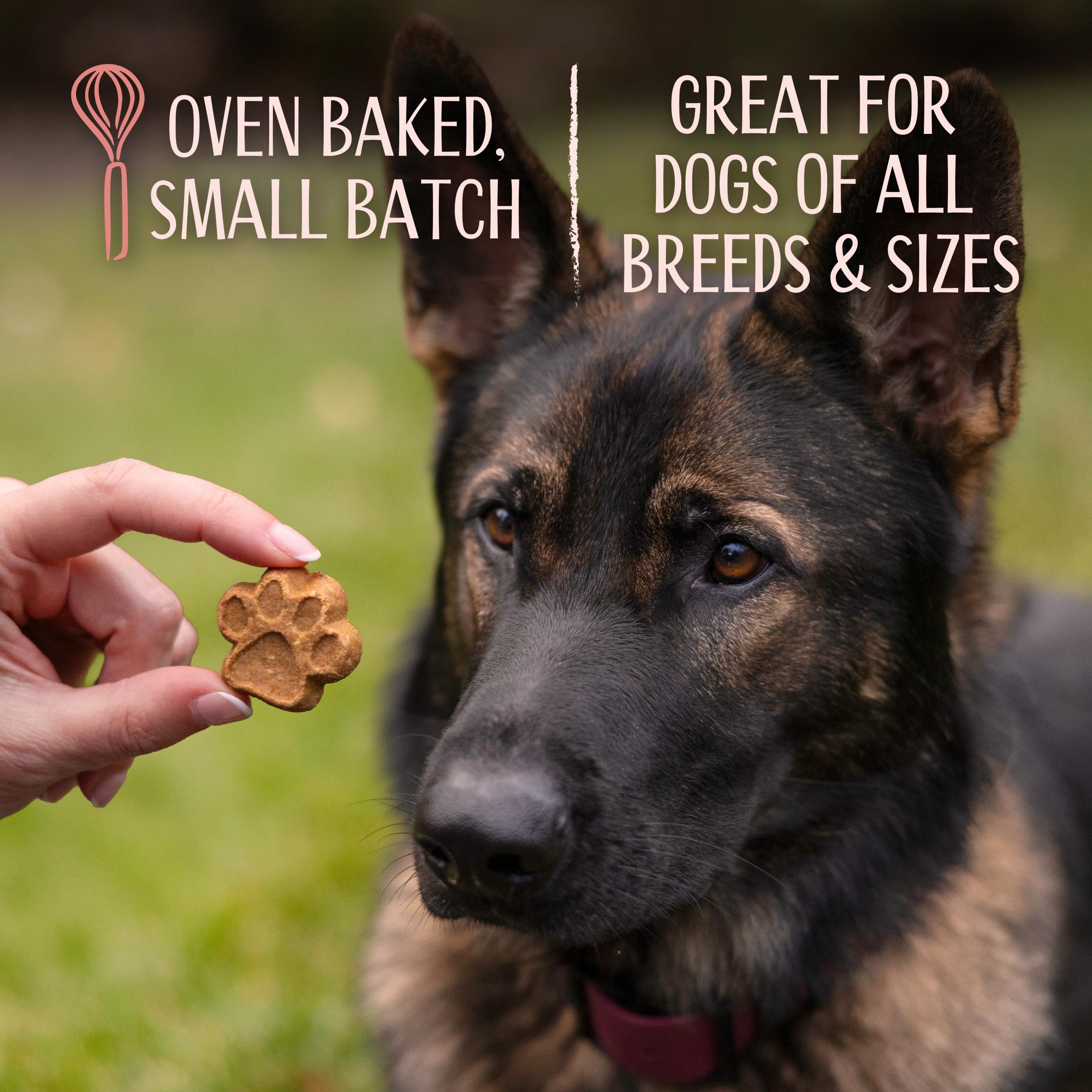 L'artisan Canine Barkerie Biscuits bakery-aroma evokes french-inspired quality.