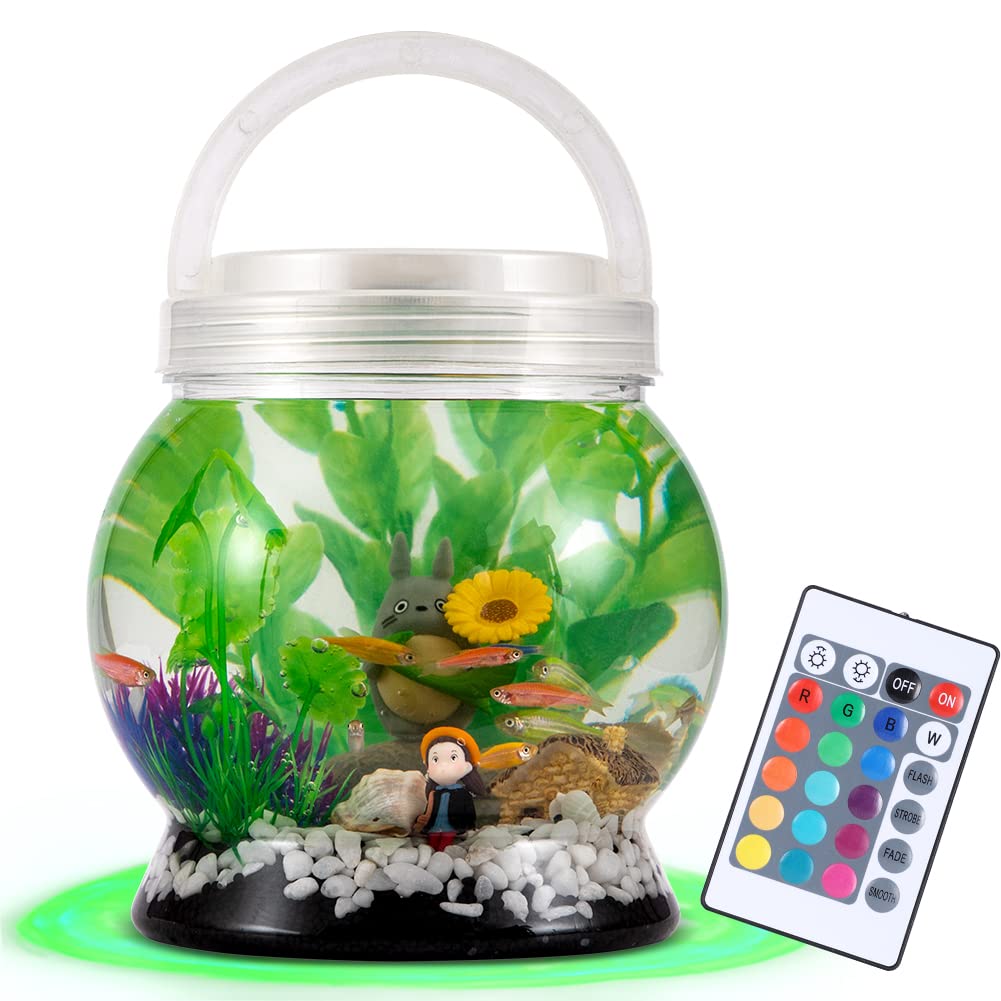 LA KEN DU Betta Tank with translucent shell showing compact portable design for easy setup