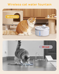 LABEKA motion sensor triggers gentle water flow as cat approaches.