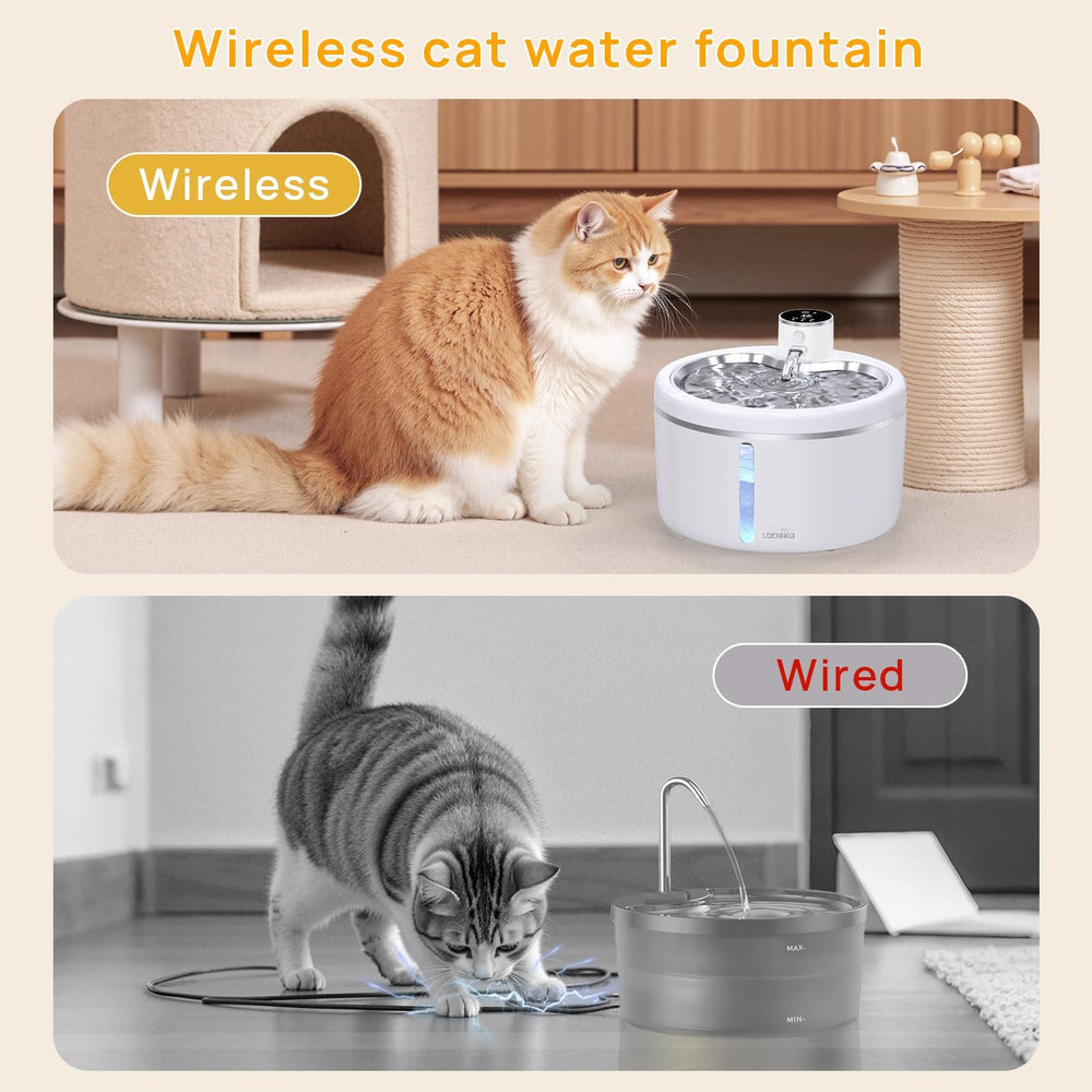 LABEKA 3L capacity keeps enough water for busy multi-cat homes.