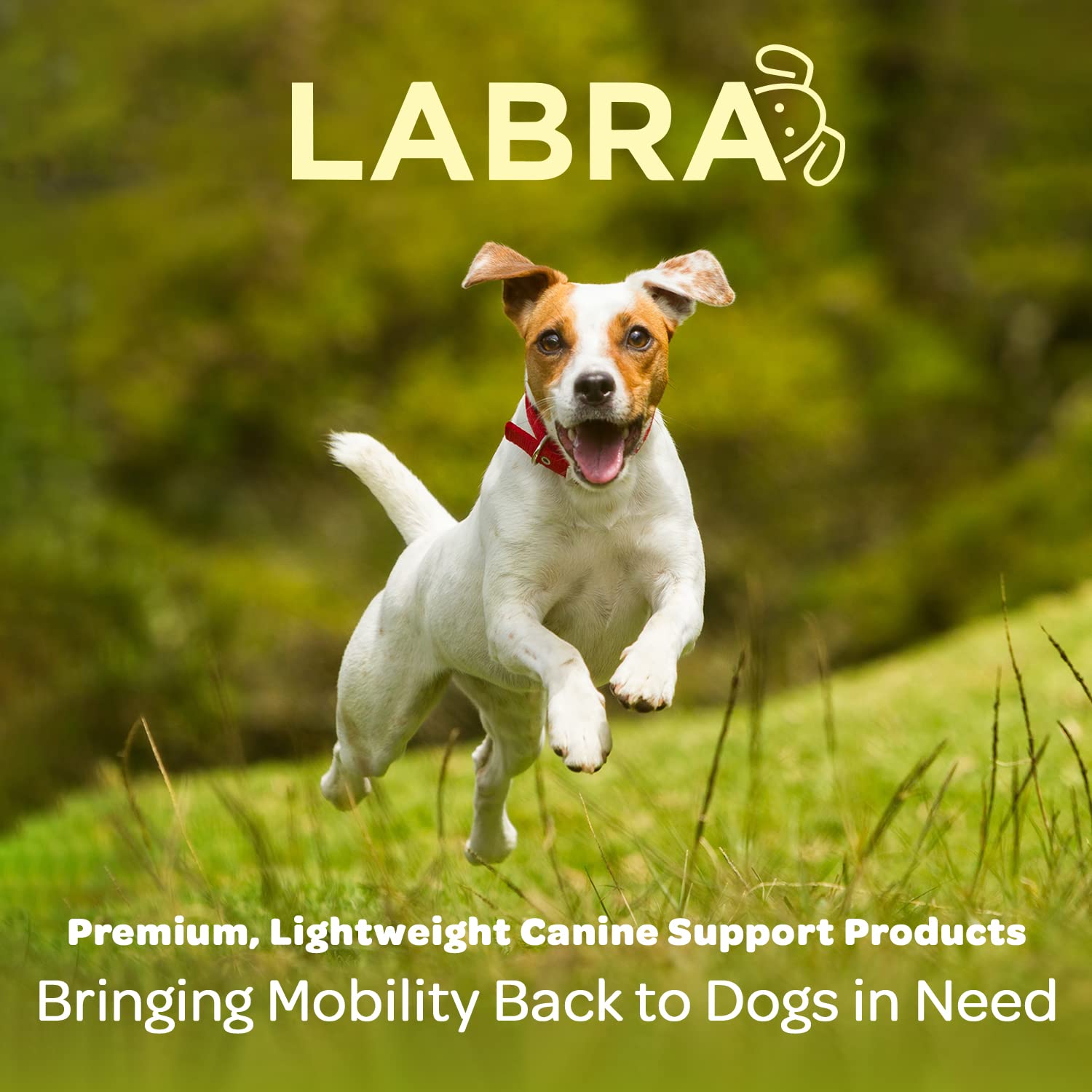 Labra adjustable hind leg wrap fits various leg sizes.