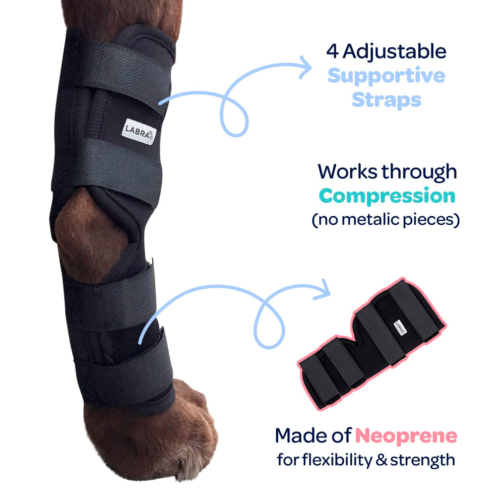 Labra arthritic dog hock support aids mobility and comfort.
