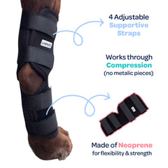 Labra arthritic dog hock support aids mobility and comfort.