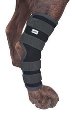 Labra dog rear leg hock wrap provides adjustable hind leg support.