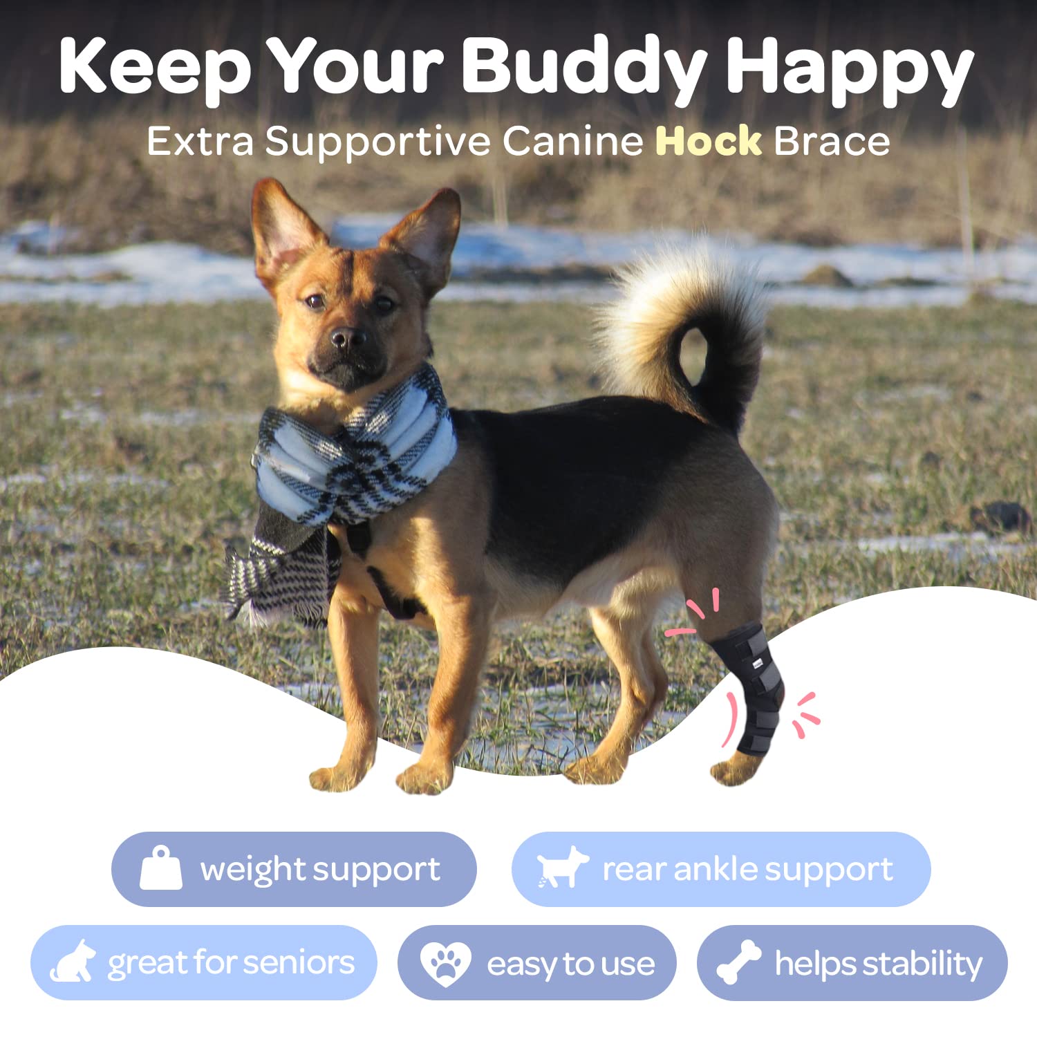 Labra dog recovery hock wrap promotes healing and gentle movement.