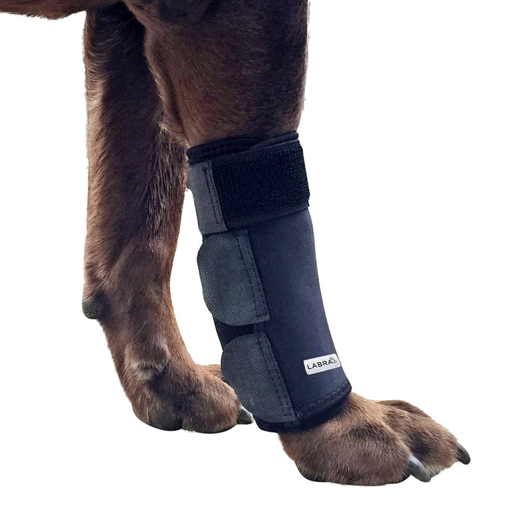 Labra front leg brace closeup with adjustable straps for secure support.