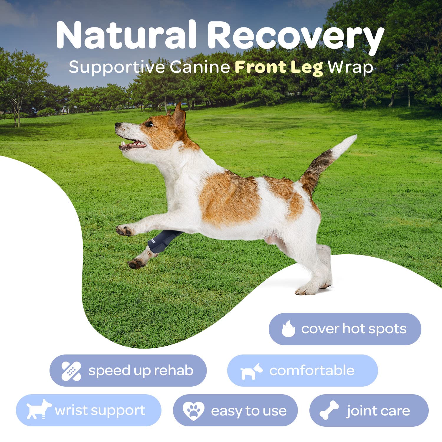 Labra front leg brace helps stop licking to support healing.