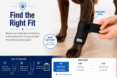 Labra front leg brace worn by a dog demonstrates comfortable daily wear.