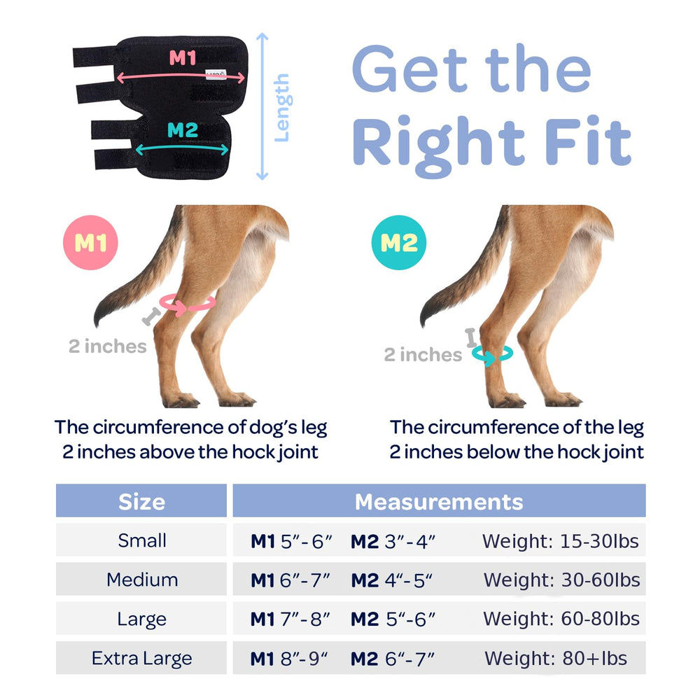 Labra hock brace for dogs stabilizes hind joints during daily activities.