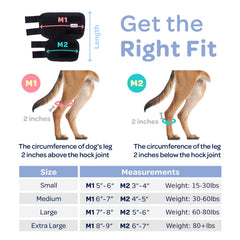 Labra hock brace for dogs stabilizes hind joints during daily activities.