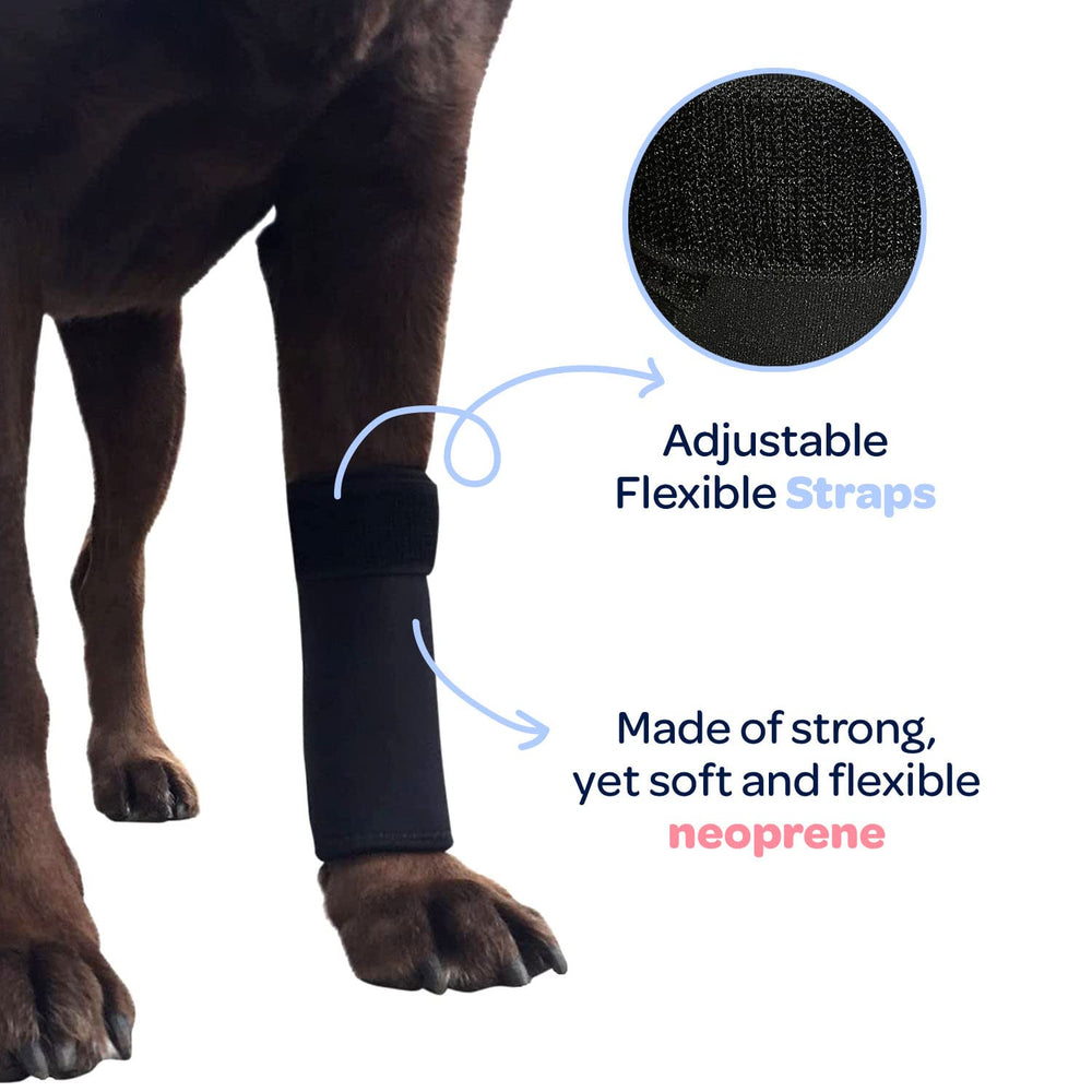 Labra leg sleeve helps stop licking and protects sensitive skin.