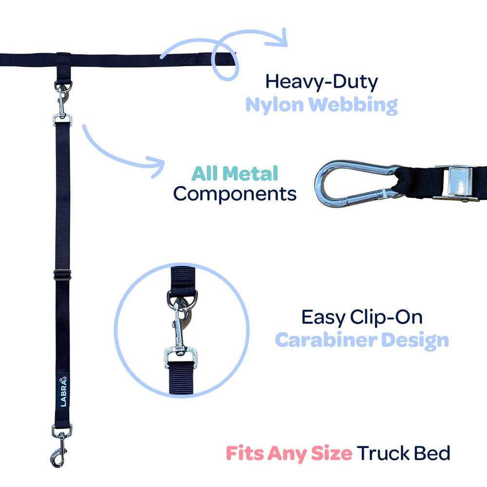 Labra safety-lock carabiner in action ensuring dog restraint.