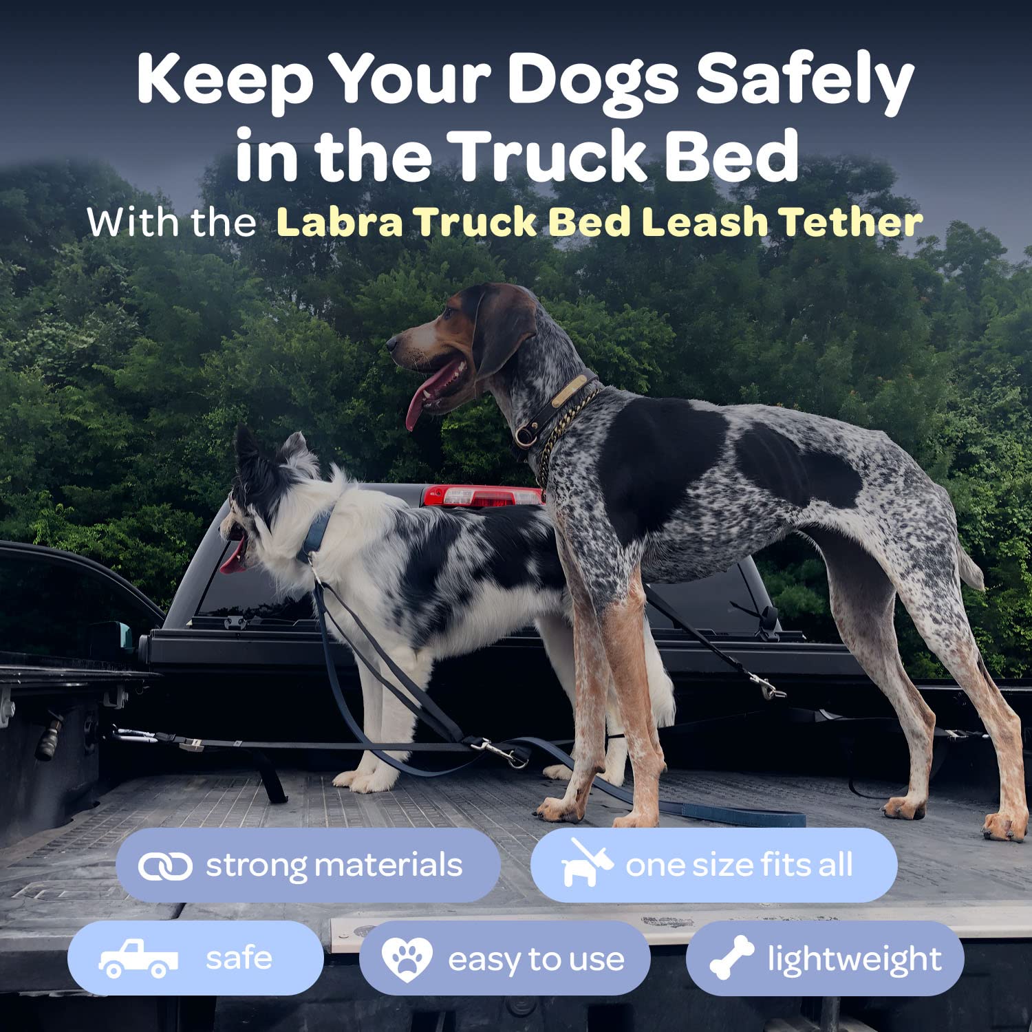 Labra truck bed leash system dual dogs image highlights double tether flexibility