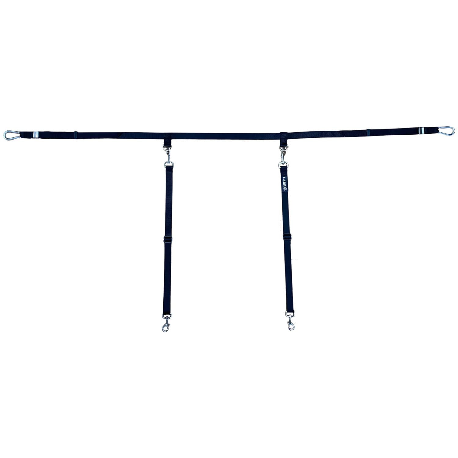 Labra truck bed leash system front view shows secure anchoring for safer car trips