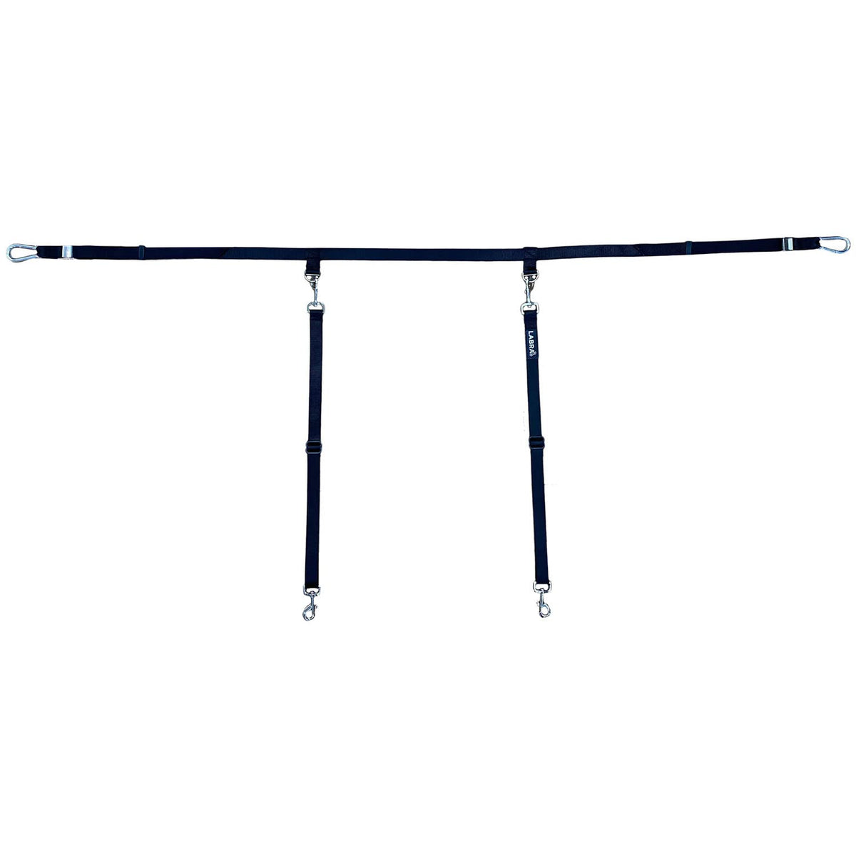 Labra truck bed leash system front view shows secure anchoring for safer car trips