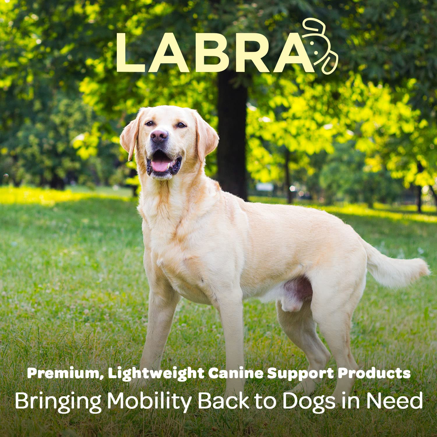 Labra truck bed leash system safety lock image conveys reliable two-dog restraint
