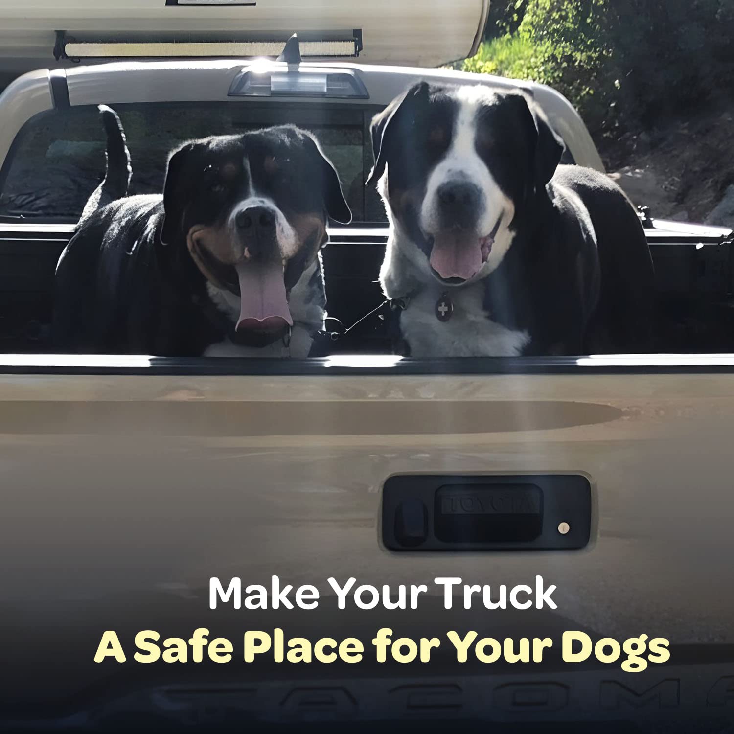 Labra truck bed leash system heavy-duty webbing ensures durability on trips