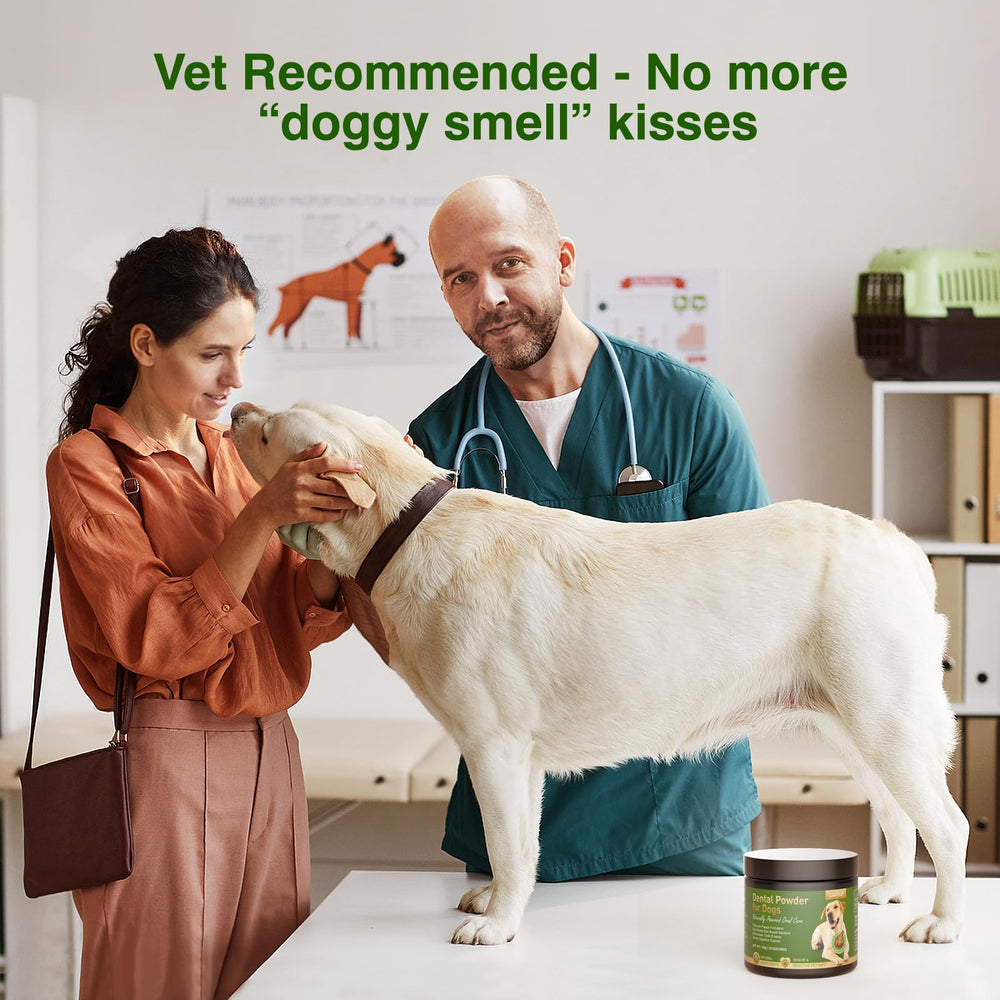 Ladnut powder with dog bowl makes dental care enjoyable.