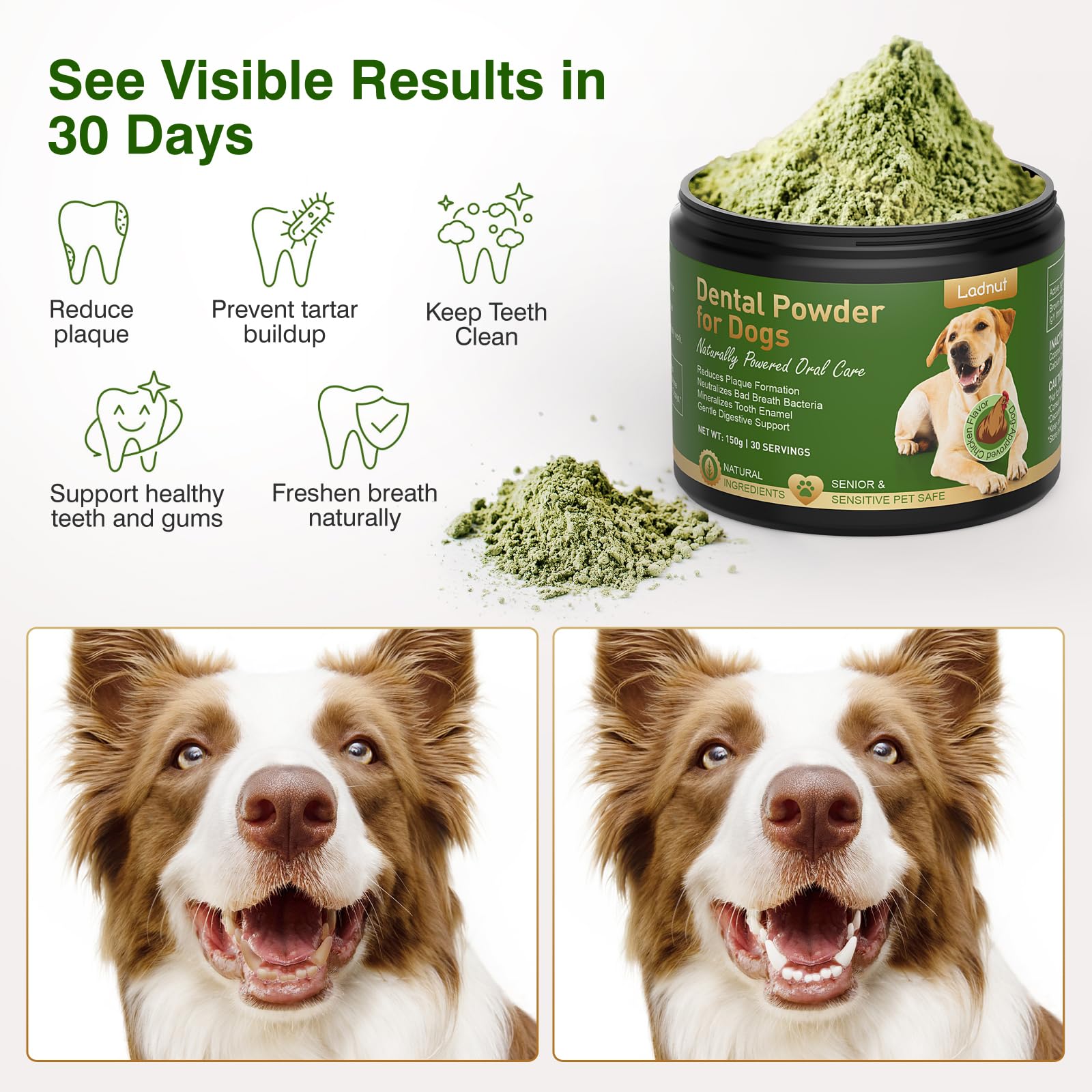 Ladnut powder scoop for simple daily dental care.