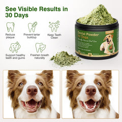 Ladnut powder scoop for simple daily dental care.