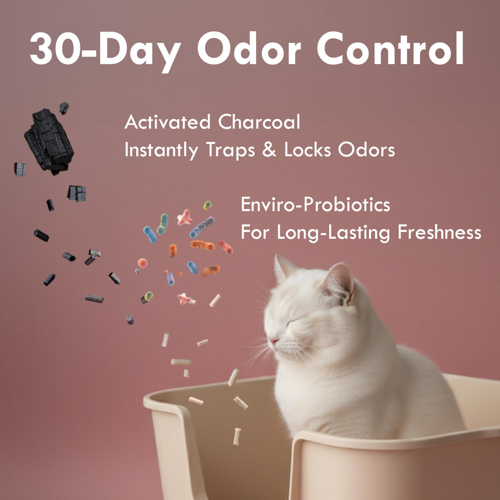 Lady N tofu litter low-dust-tracking helps keep surfaces cleaner between scoops.