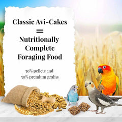 LAFEBER'S Avi-Cakes with human-grade ingredients, appealing for birds