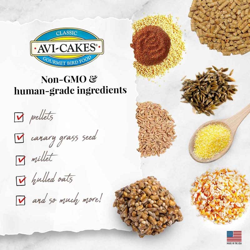 LAFEBER'S Avi-Cakes parrot-snacking image captures tasty texture and bite-sized snacks.