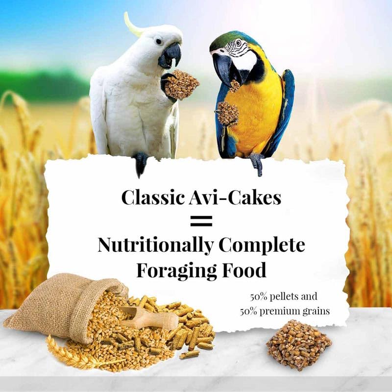 LAFEBER'S Avi-Cakes pellet close-up shows texture for engaging chews and variety.