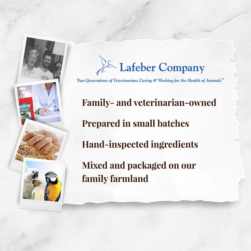 Pack of two 1 lb Avi-Cakes supports regular feeding with recognizable ingredients.