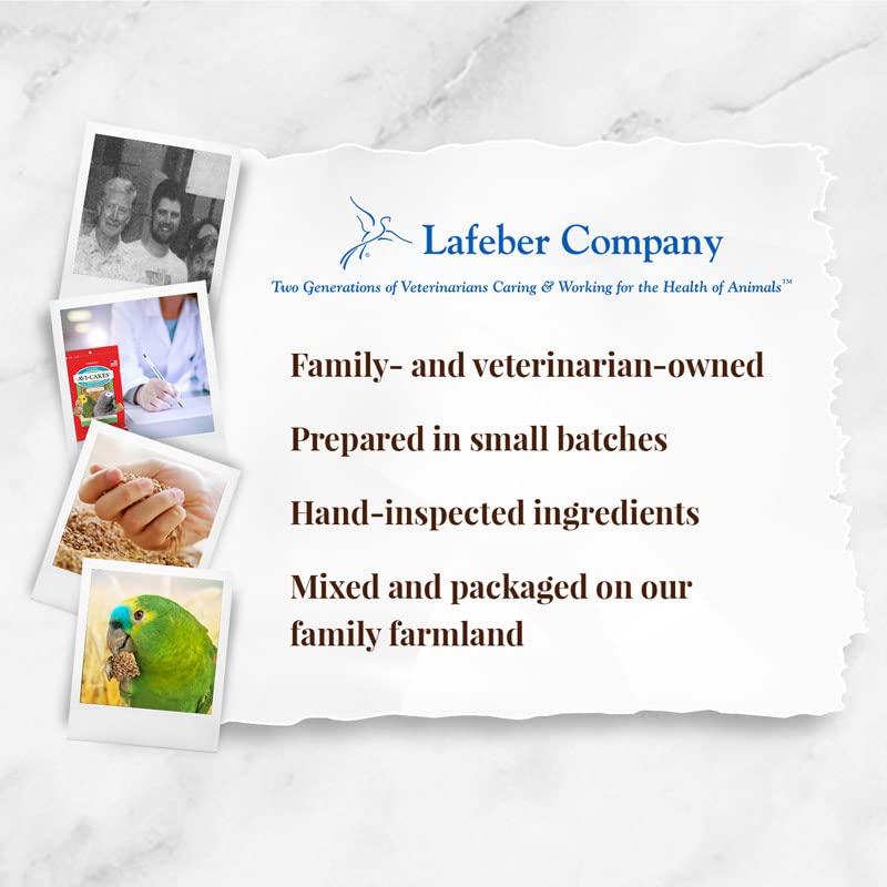 LAFEBER'S Avi-Cakes two-pack packaging keeps portions fresh for parrots.