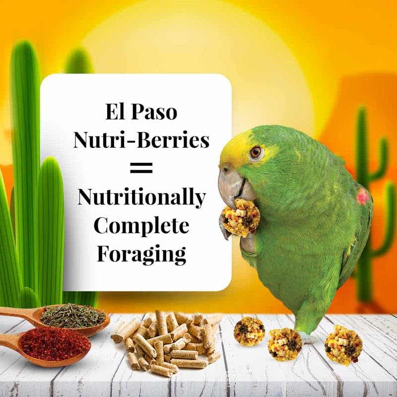 LAFEBER'S El Paso Nutri-Berries packaging highlights non-GMO, human-grade ingredients.